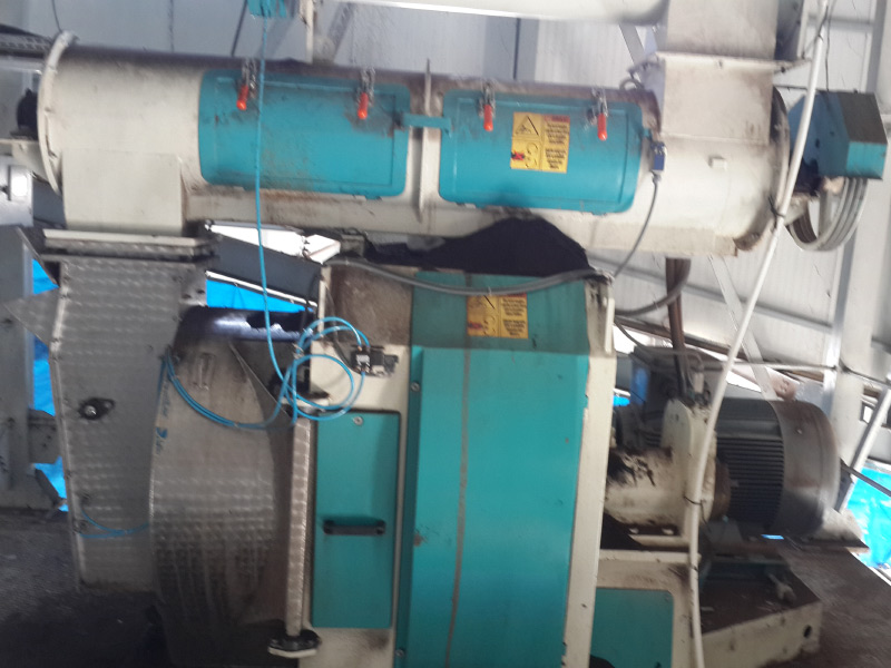 Pelet Presi Bakımı