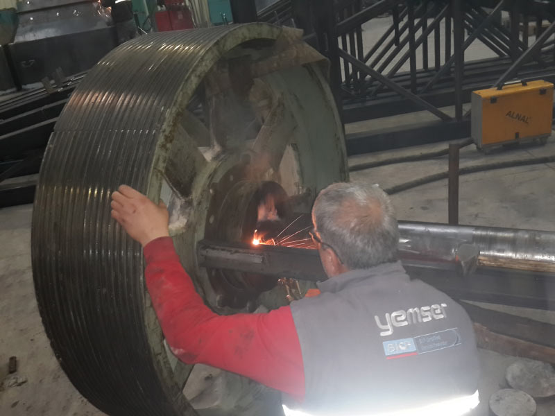 Pelet Presi Kasnak Rulmanı Revize